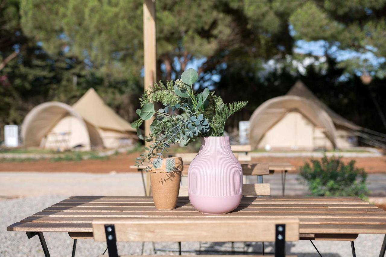 Glamping La Mimosa Conil Camping *